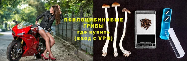 герыч Верхний Тагил