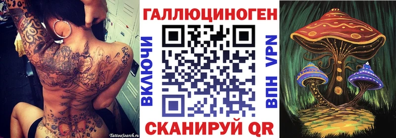 Псилоцибиновые грибы Psilocybe  продажа наркотиков  Циолковский 